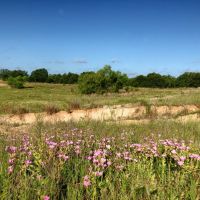 Hunting &nbsp; Recreational Land For Sale in Southern OK images 6