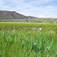Cimarron Cerro Ranch images 6