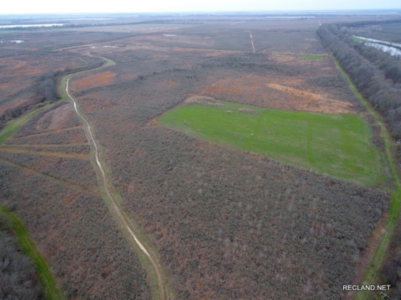 481 ac - Duck &nbsp; Deer Hunting WRP with Lodge - PRICE REDUCED featured image
