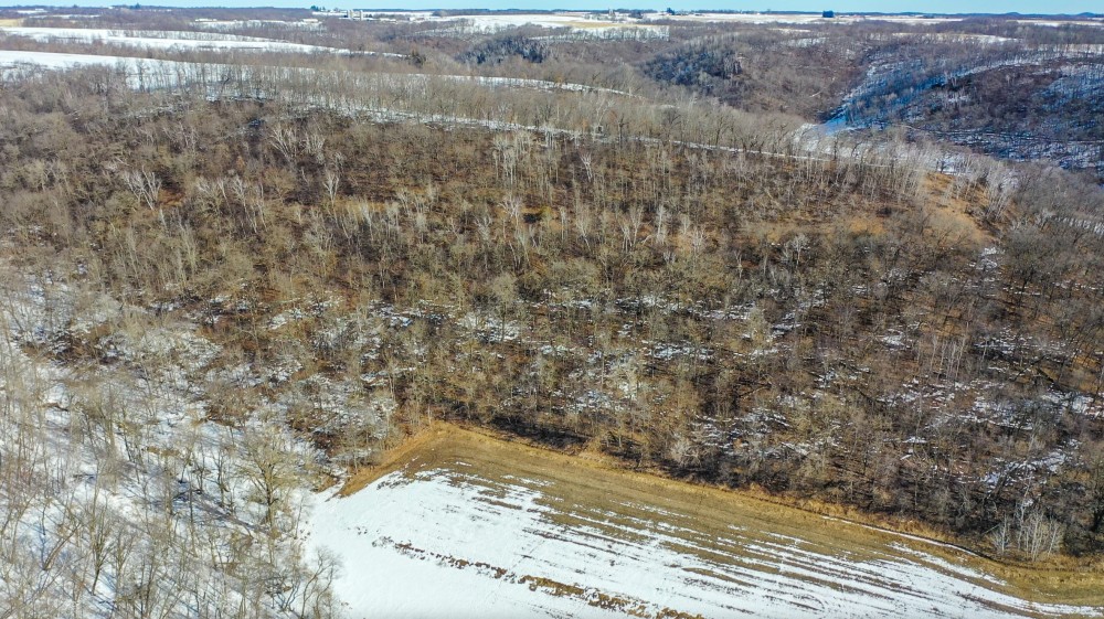 100.85  - Acres Buffalo County  WI featured image