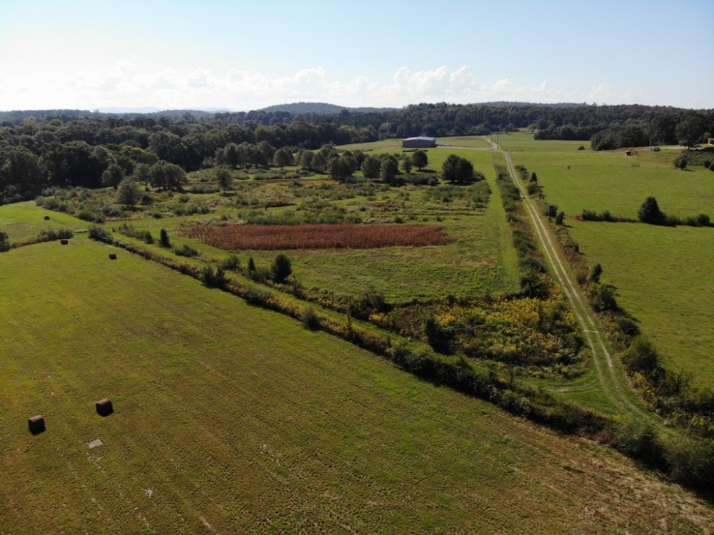 61-007-choccolocco-creek-hunting-preserve featured image