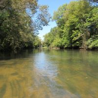 61-007-choccolocco-creek-hunting-preserve images 4