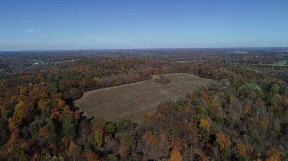 71 Acres In Lawrence County Indiana featured image