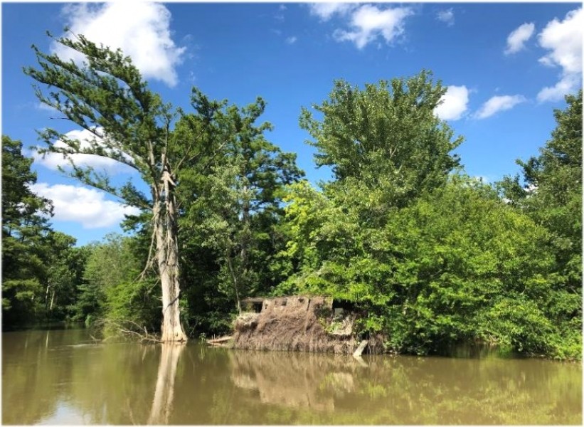 1401.33 Acres  Gum Island  in Dunklin County  Missouri featured image