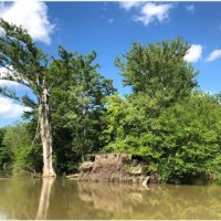 1401.33 Acres  Gum Island  in Dunklin County  Missouri