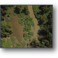 1401.33 Acres  Gum Island  in Dunklin County  Missouri images 4