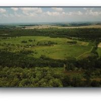 1401.33 Acres  Gum Island  in Dunklin County  Missouri images 5