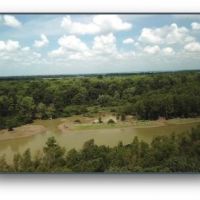 1401.33 Acres  Gum Island  in Dunklin County  Missouri images 6