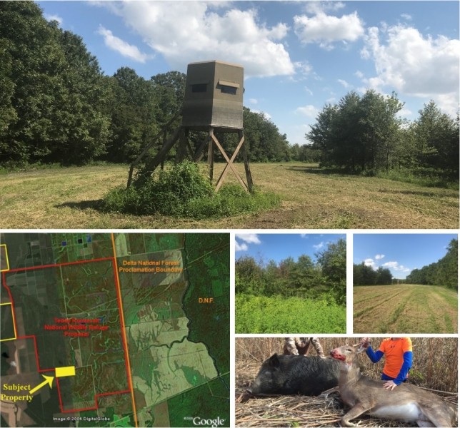 80 Acres in Sharkey County in Rolling Fork  MS featured image