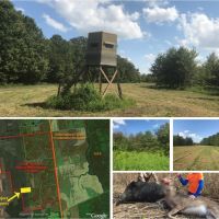 80 Acres in Sharkey County in Rolling Fork  MS