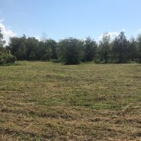 80 Acres in Sharkey County in Rolling Fork  MS images 2