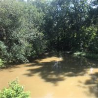 80 Acres in Sharkey County in Rolling Fork  MS images 5