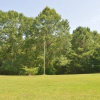 Land for Sale No Restrictions NPSD  Jayess  Pike County MS images 2