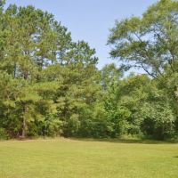 Land for Sale No Restrictions NPSD  Jayess  Pike County MS images 3