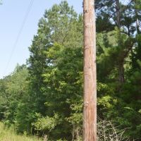 Land for Sale No Restrictions NPSD  Jayess  Pike County MS images 4