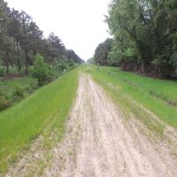 NC 1000 Acre Timber Tract For Sale in Beaufort County images 2