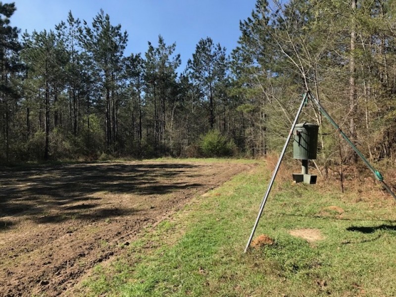 40 Ac Hunting Tract on Stateline featured image