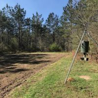40 Ac Hunting Tract on Stateline