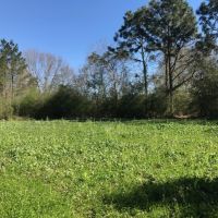 40 Ac Hunting Tract on Stateline images 2