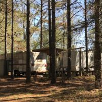 40 Ac Hunting Tract on Stateline images 4