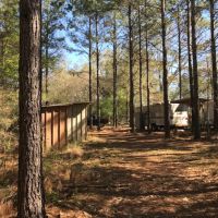 40 Ac Hunting Tract on Stateline images 5