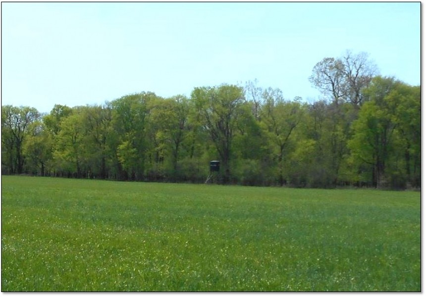 Equity Share in Coahoma County at Burkes Hunting Club Hunting Land