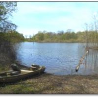 Equity Share in Coahoma County at Burkes Hunting Club images 2