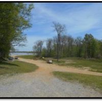 Equity Share in Coahoma County at Burkes Hunting Club images 5