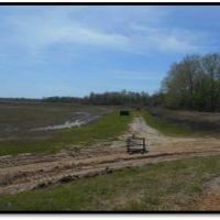 Equity Share in Coahoma County at Burkes Hunting Club images 6
