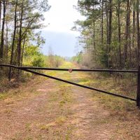 244 Acres &nbsp; Segno Forest Tom Marsh Rd images 2