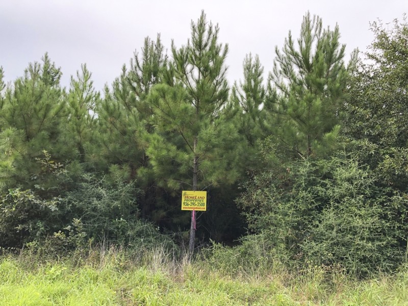 56 Acres &nbsp; FM 787 featured image