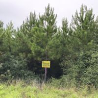 56 Acres &nbsp; FM 787 images 1