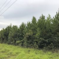 56 Acres &nbsp; FM 787 images 3