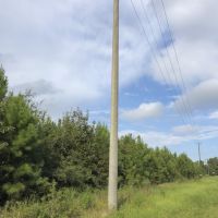 56 Acres &nbsp; FM 787 images 4