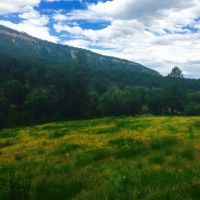 Parcel 6 Destination Ranch