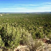 MAAD Ranch images 2