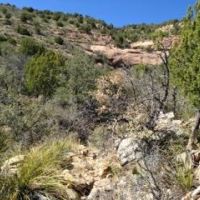 MAAD Ranch images 3