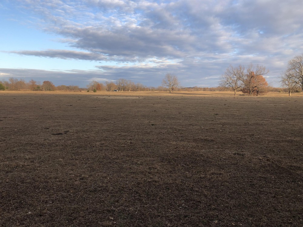 Cardwell Farms Lot 5 featured image