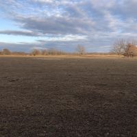 Cardwell Farms Lot 5