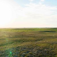 Circle S Ranch images 4