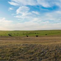 Circle S Ranch images 5