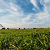 Circle S Ranch images 6