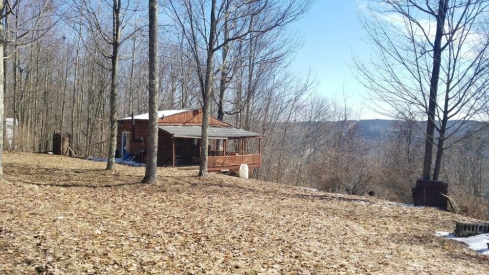 50 acres Cabin in Hornby NY 4501 State Route 414 featured image