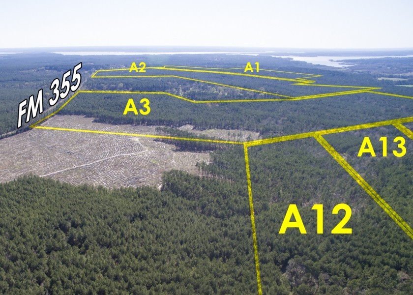 187 Acres &nbsp; FM 355 &nbsp; Brushy Creek &nbsp;   Tract A3 featured image