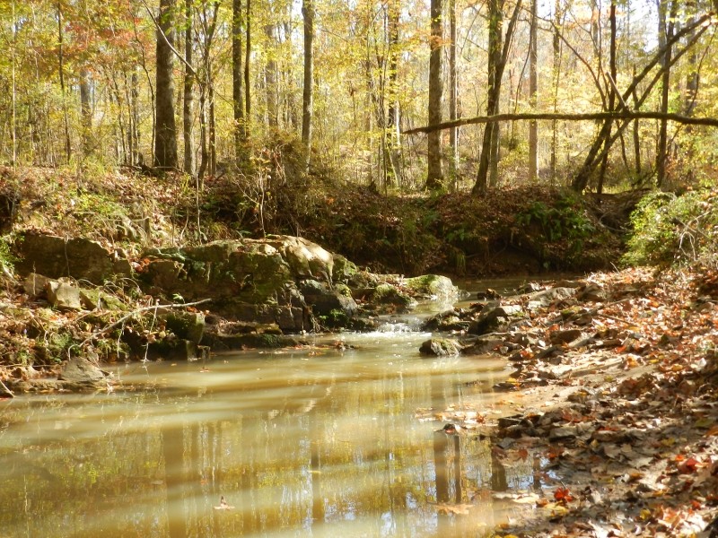 Hunting &nbsp; Recreation West Baldwin featured image