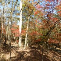 Hunting &nbsp; Recreation West Baldwin images 2