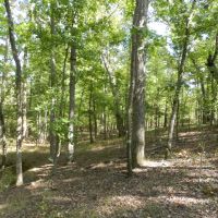 Hunting &nbsp; Recreation West Baldwin images 3