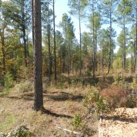 Hunting &nbsp; Recreation West Baldwin images 5