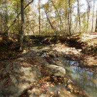 Hunting &nbsp; Recreation West Baldwin images 6
