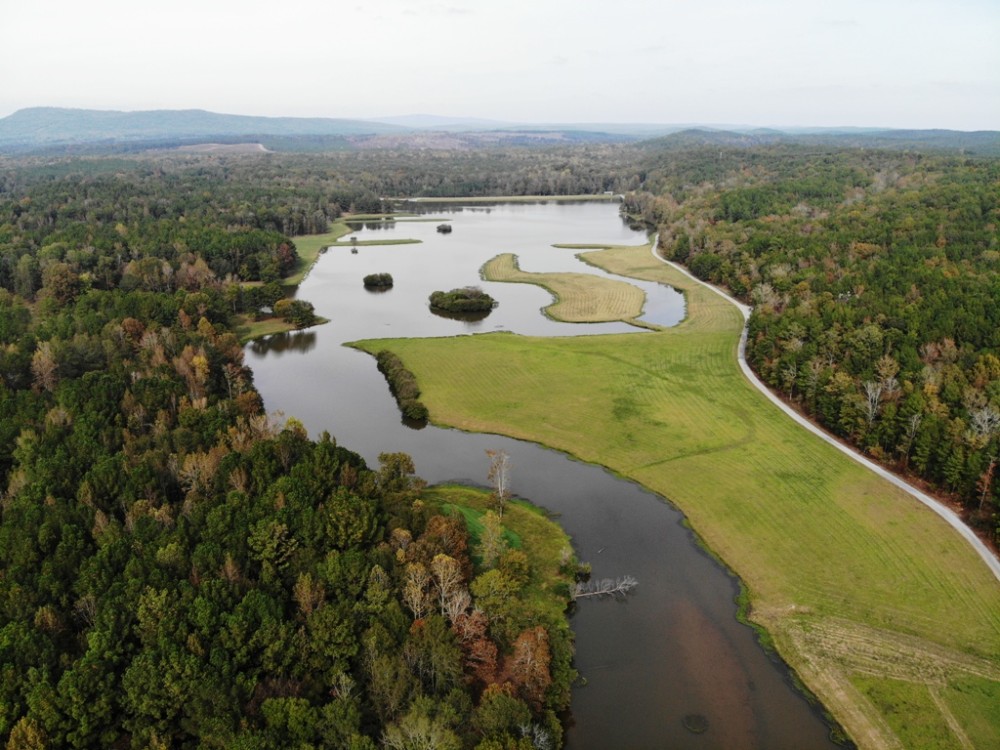 58-016-pioneer-lake-20-acre-lot featured image